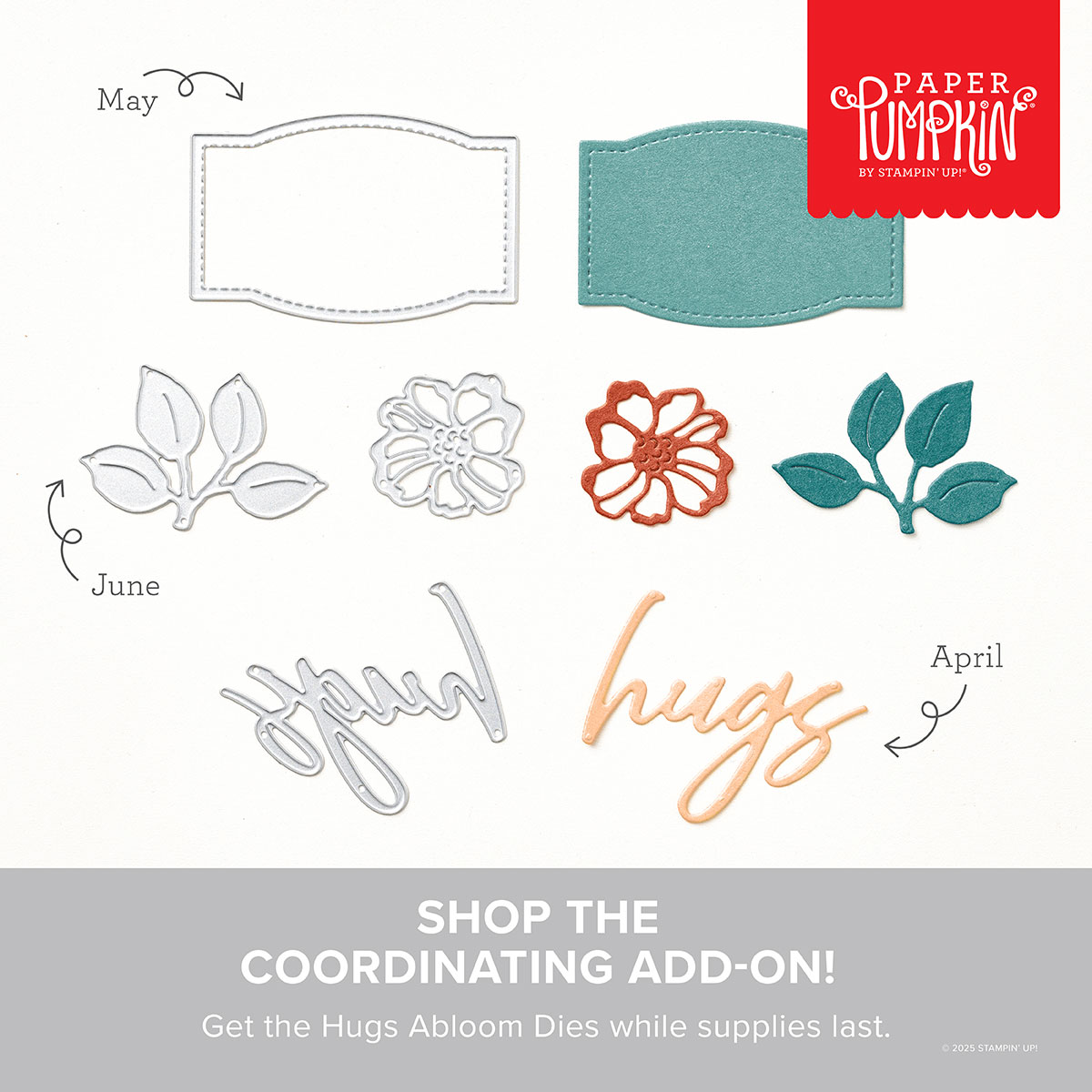 Stampin' Up! Hugs Abloom Dies Paper Pumpkin Add-On April through June 2025